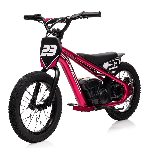 Garvee Ride - G Series: 16 Inch Kids Electric Balance Bike 250W Motor 3 Speed Settings Aluminum Frame Detachable Battery Off-Road Tires for Ages 6-12 Outdoor Adventure